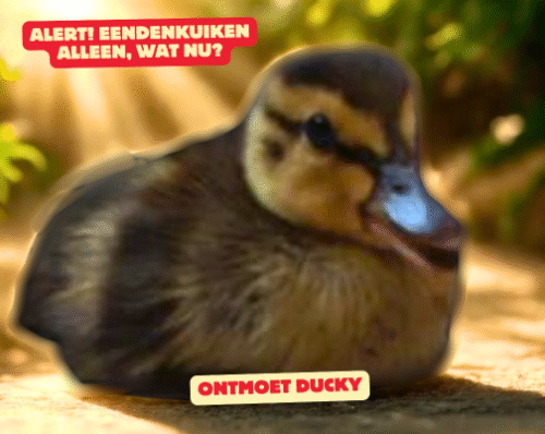 Ontmoet DOntmoet Duckyucky